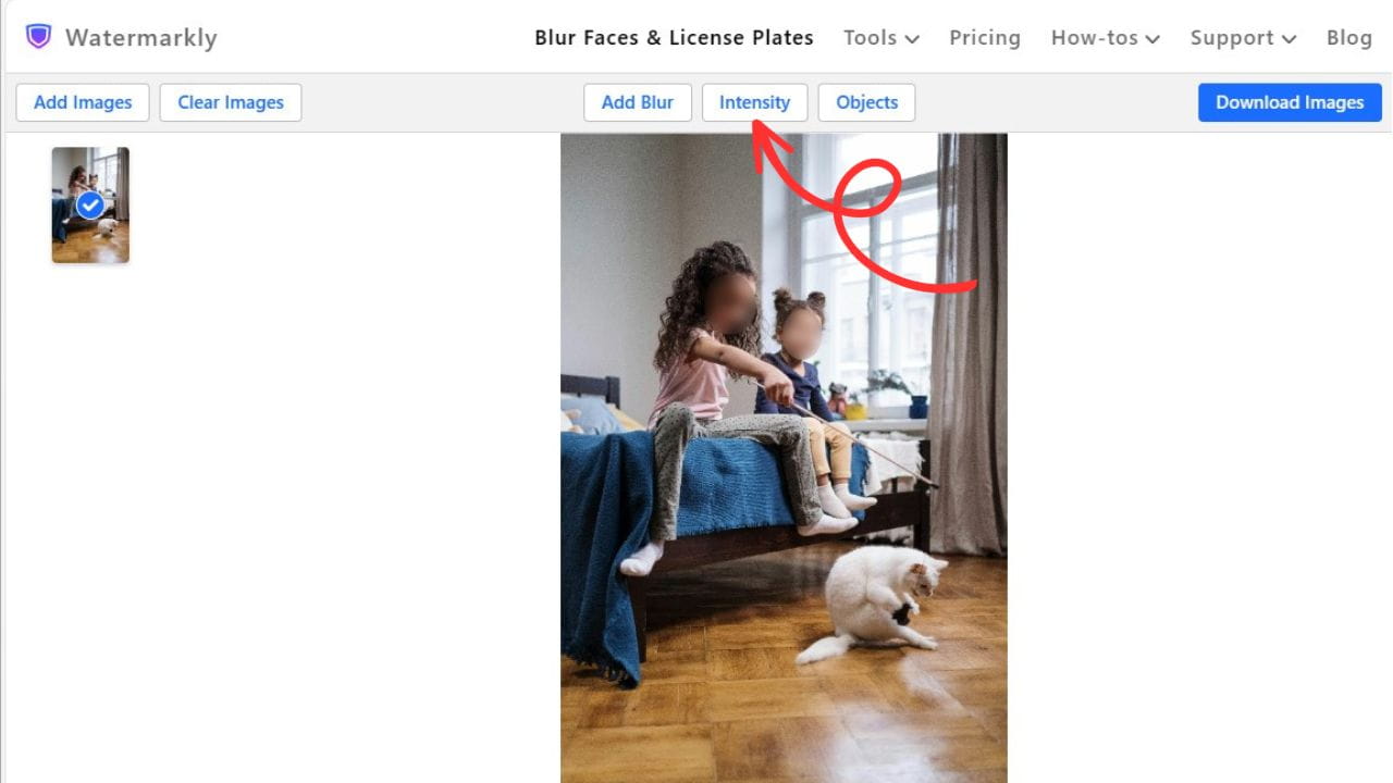 Watermarkly：自动模糊人脸物体工具