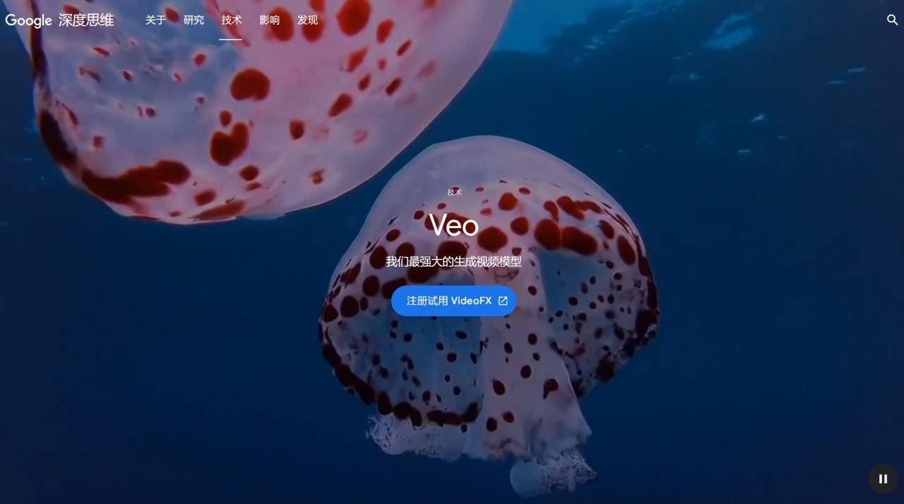 Veo：Google强大的生成视频模型