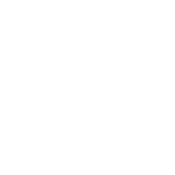 悟道大模型：智源研究院开发的一款人工智能大模型